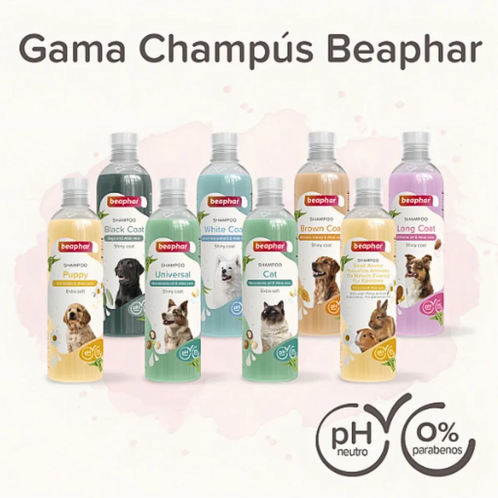 Shampoo Beaphar Para Conejos Cobayas Y Cuyos 250ml Con Aloe
