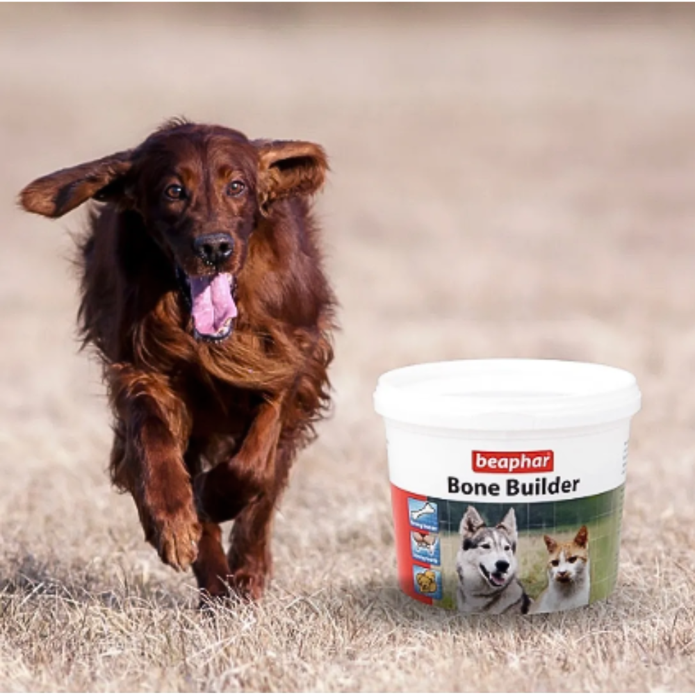 Beaphar Suplemento De Calcio En Polvo P/perros Y Gatos. 500g
