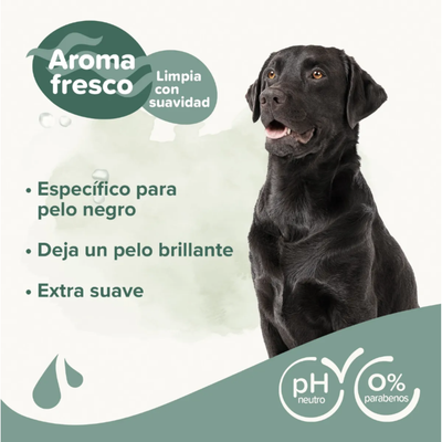 Shampoo Beaphar Para Perros De Pelo Negro 250ml Con Aloevera Aloe Vera