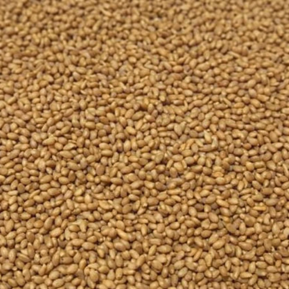 KIKI Foniopaddy Cubeta 3kg. Kiki-pro Para Aves De Ornato