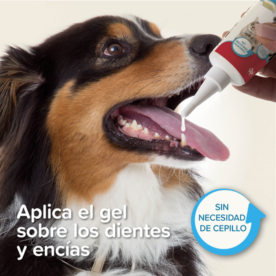 Gel Dental Que No Necesita Cepillado Para Perro Gato Beaphar Hígado