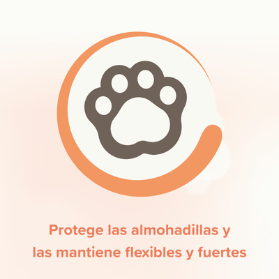 Unguento Beaphar Reparador Patas Nariz Y Cojinetes 40ml