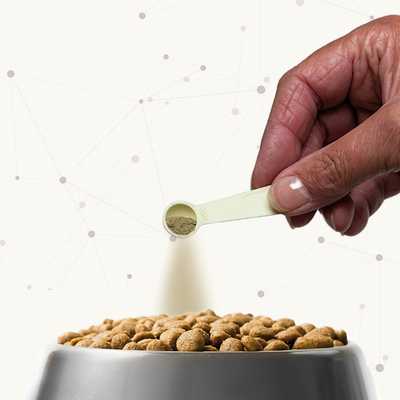 Beaphar Polvo Dental Plus 75gr Para Perros Y Gatos.