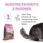 Little One Alimento Balanceado Para Chinchillas 900gr