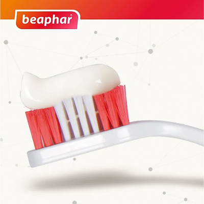 Pasta Dental Y Cepillo Perro Cachorro Beaphar Sabor Carne