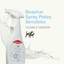 Spray Shampoo en seco Beaphar Anti-Irritación Perros Y Gatos 250ml Aloe Vera