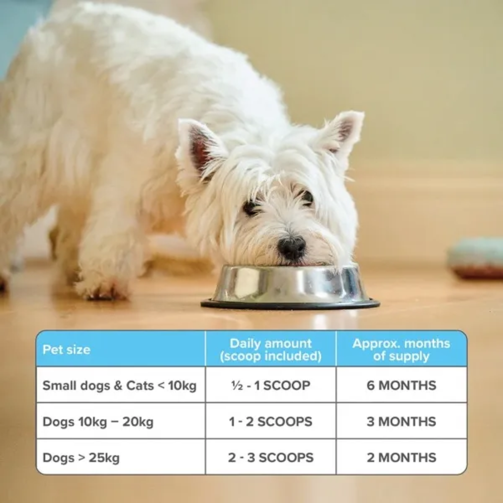 Beaphar Polvo Dental Plus 75gr Para Perros Y Gatos.