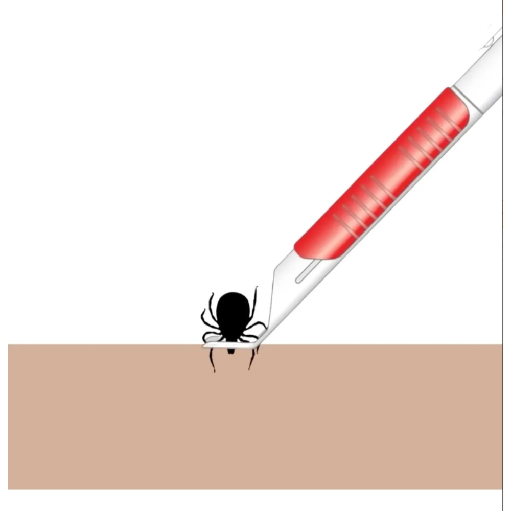 Removedora Plástica De Garrapatas En Mascotas, Beaphar