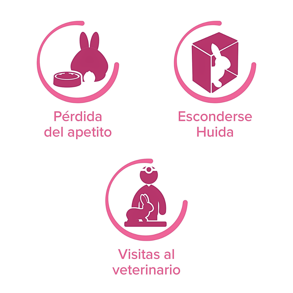 Beaphar Rabbitcomfort Anti Estrés Calmante Para Conejos 30ml