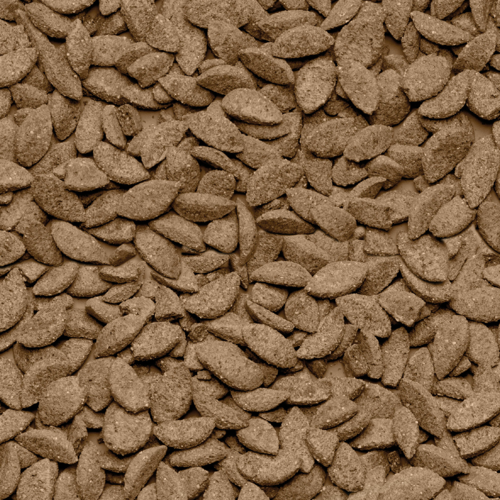 Beaphar Care+ Alimento Balanceado Para Chinchillas 1.5kg