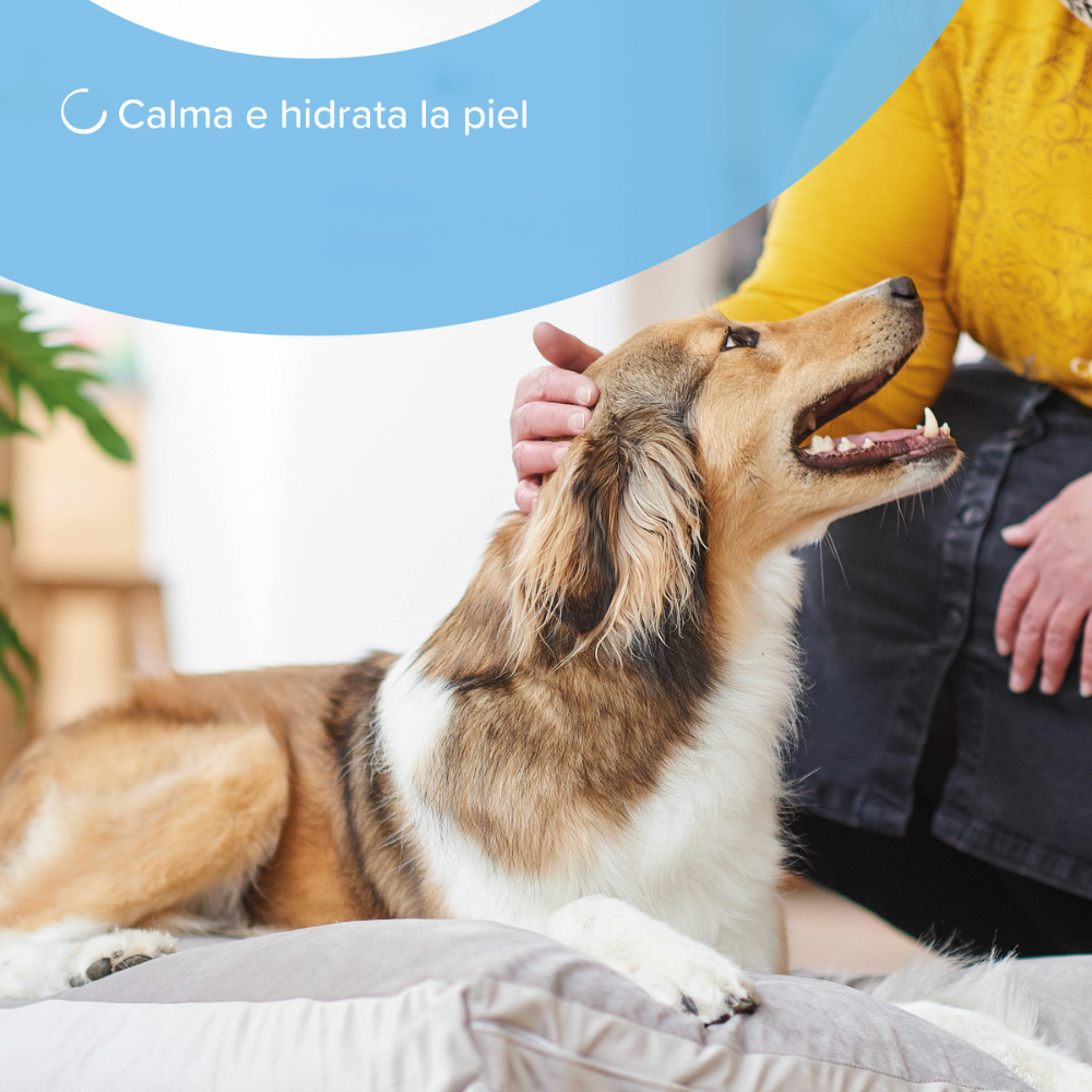 Spray Shampoo en seco Beaphar Anti-Irritación Perros Y Gatos 250ml Aloe Vera