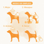 Beaphar Shampoo Para Perros Golden 250ml Aloe Vera