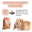 Little One Alimento Balanceado Para Conejos Junior 2.3kg