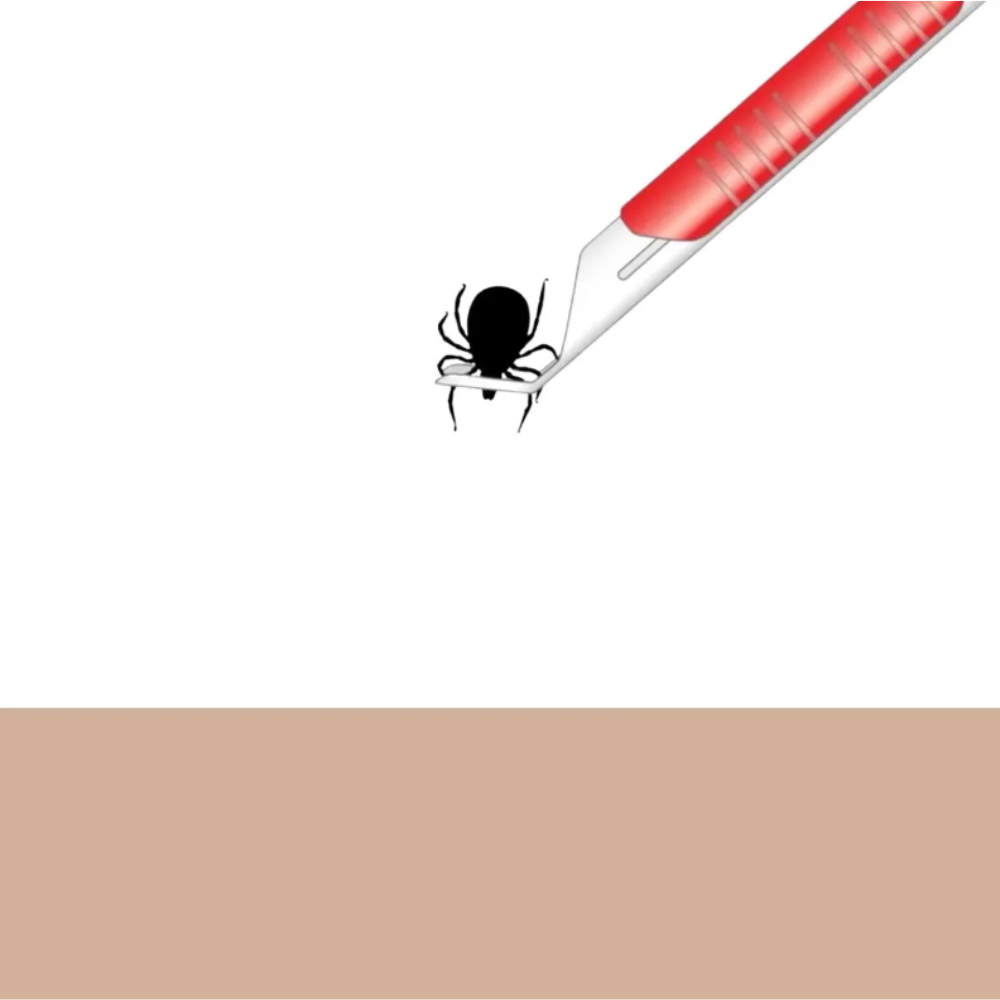 Removedora Plástica De Garrapatas En Mascotas, Beaphar