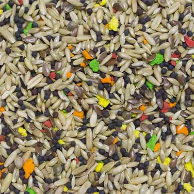 Semillas Para Aves Canarios Kiki Max Menú Vitaminado 1kg