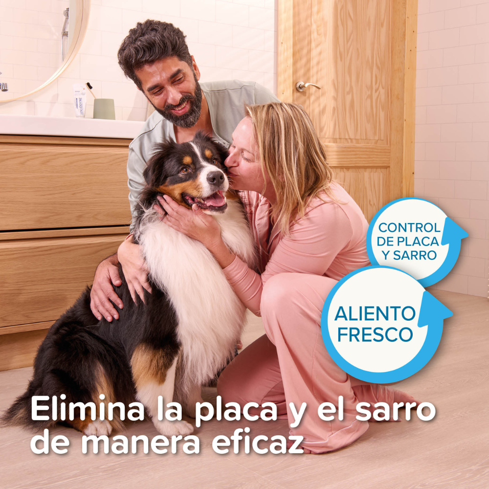 Gel Dental Que No Necesita Cepillado Para Perro Gato Beaphar Hígado
