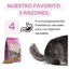 Little One Alimento Balanceado Para Chinchillas 2.3k