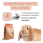 Little One Alimento Balanceado Para Conejos Junior 2.3kg