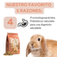 Little One Alimento Balanceado Para Conejos Junior 900 Gr