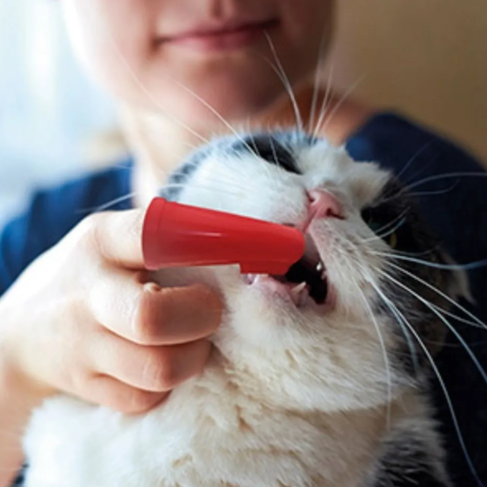 Cepillo De Dientes Tipo Dedal Silicón Para Perro O Mascota Sin Sabor