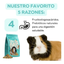 Little One Alimento Balanceado Para Cuyos Y Cobayas 2.3 Kg
