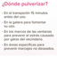 Catcomfort Spray Anti Estrés Calmante Para Gato 30ml