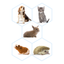 BEAPHAR - Kit Biberon para Lactol Puppy