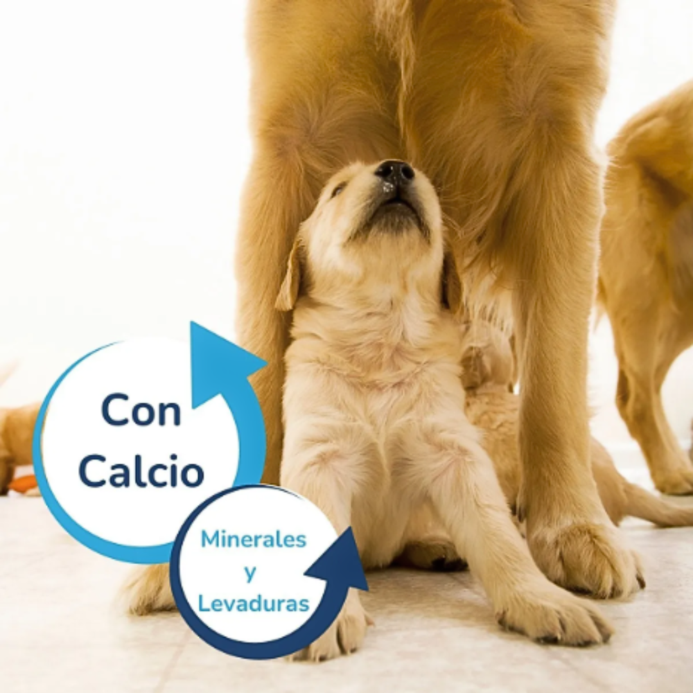 Beaphar Suplemento De Calcio En Polvo P/perros Y Gatos. 500g