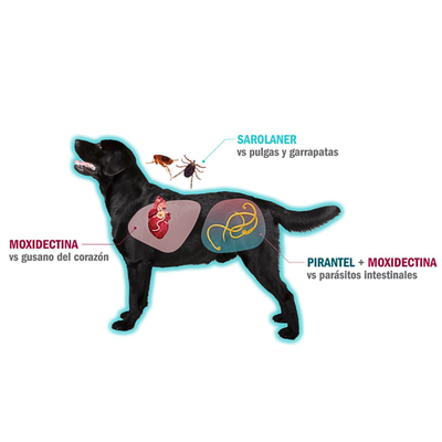 Simparica TRIO green 20.1-40 kg