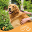 Beaphar Shampoo Para Perros Golden 250ml Aloe Vera