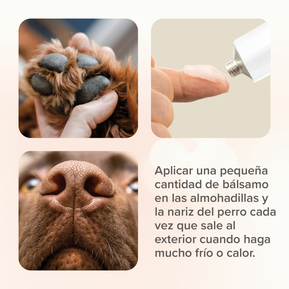 Unguento Beaphar Reparador Patas Nariz Y Cojinetes 40ml