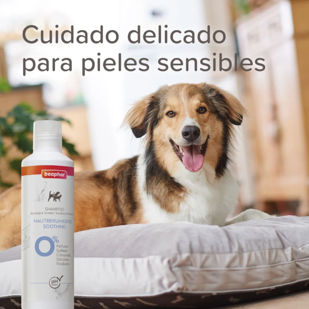 Shampoo Sensitive Skin 250ml Beaphar Anti Itch/anti Comezon. N/a