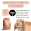 Little One Alimento Balanceado Para Conejos Junior 900 Gr