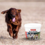 Beaphar Suplemento De Calcio En Polvo P/perros Y Gatos. 500g