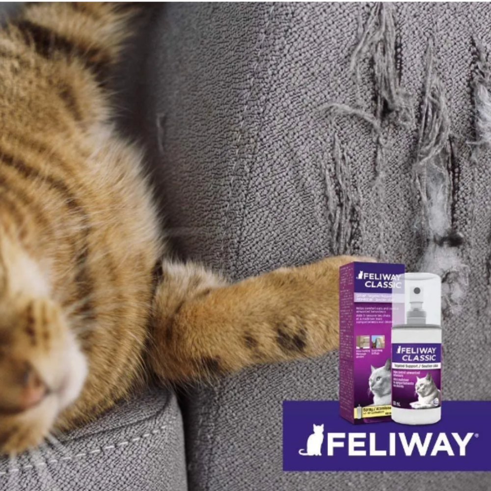 FELIWAY CLASSIC SPRAY