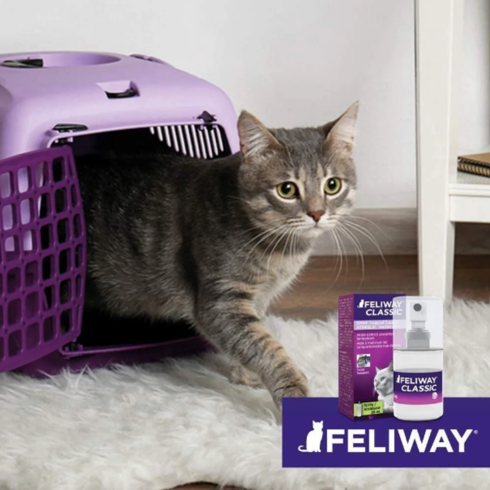 FELIWAY CLASSIC SPRAY