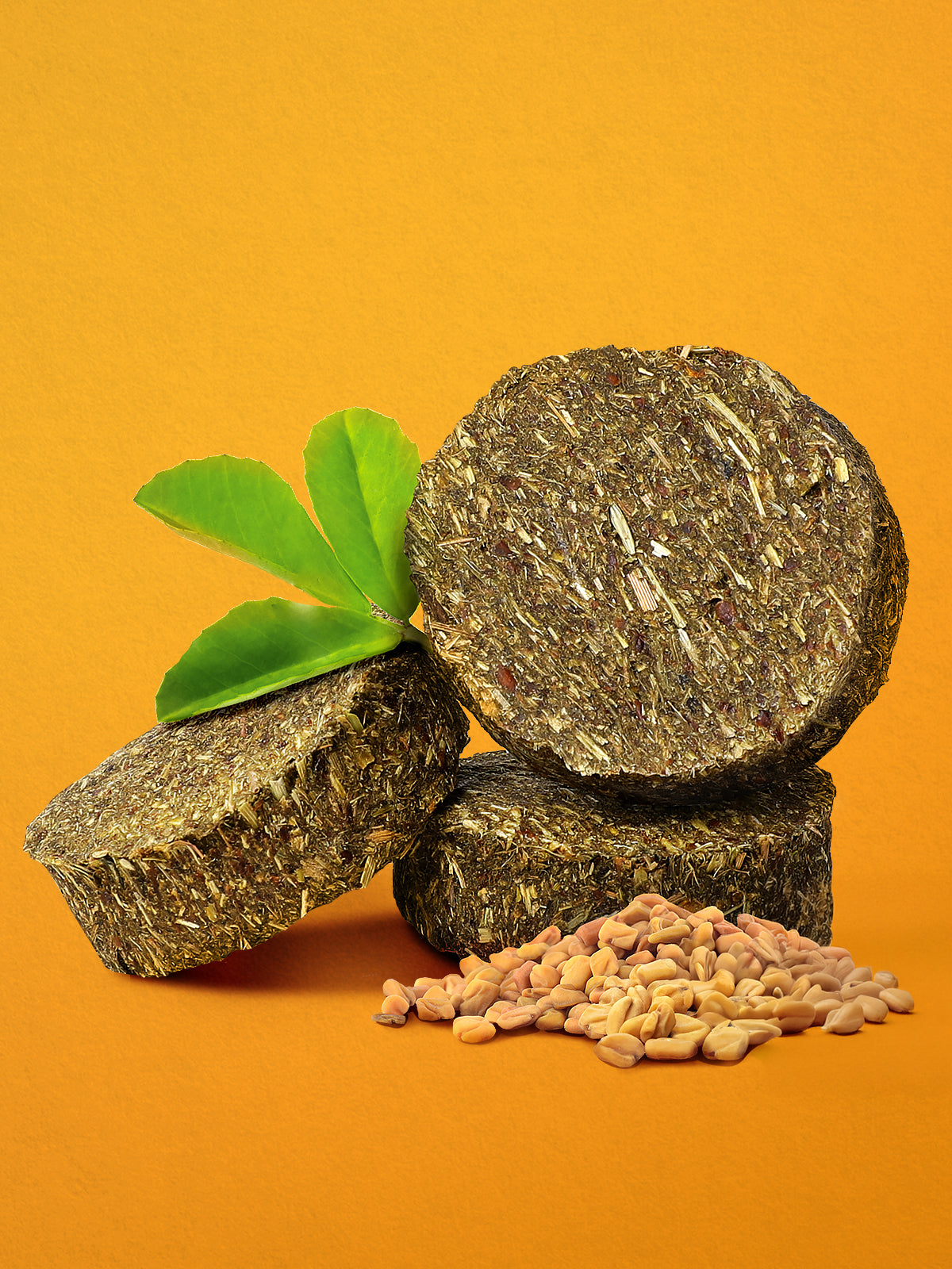 Longside - Mealberry Premio para caballos sabor Fenogreco Aromatico 500 gr